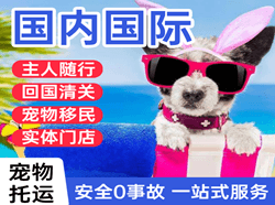 徕宁机场物流国际宠物托运 【国